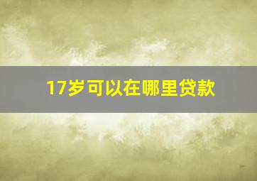 17岁可以在哪里贷款