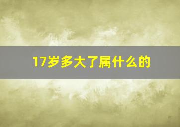 17岁多大了属什么的