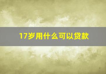 17岁用什么可以贷款