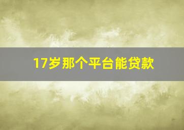 17岁那个平台能贷款