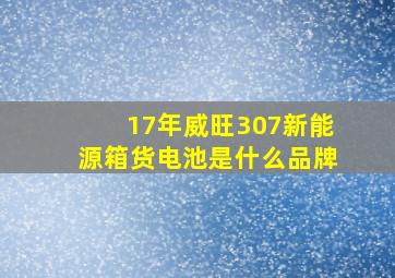 17年威旺307新能源箱货电池是什么品牌