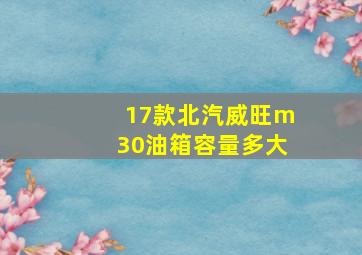 17款北汽威旺m30油箱容量多大