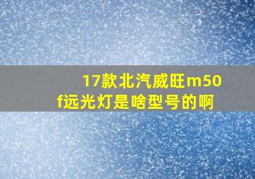 17款北汽威旺m50f远光灯是啥型号的啊