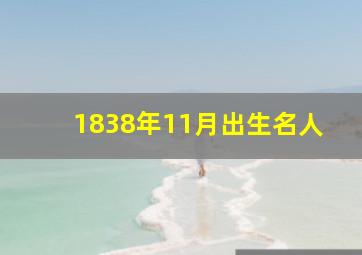 1838年11月出生名人