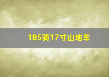 185骑17寸山地车