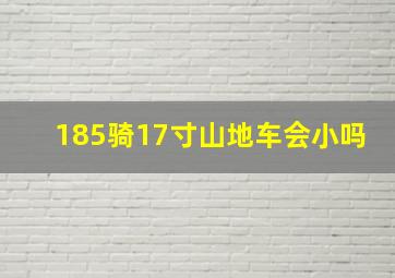 185骑17寸山地车会小吗