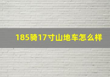 185骑17寸山地车怎么样