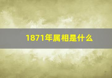 1871年属相是什么