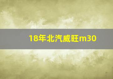 18年北汽威旺m30