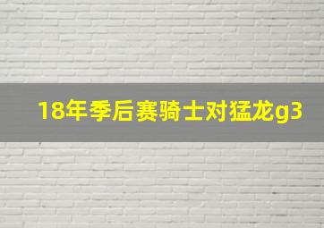 18年季后赛骑士对猛龙g3