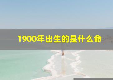 1900年出生的是什么命