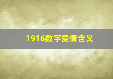 1916数字爱情含义