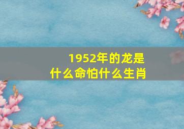 1952年的龙是什么命怕什么生肖