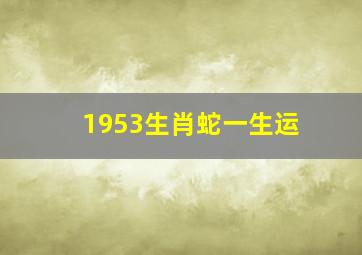 1953生肖蛇一生运