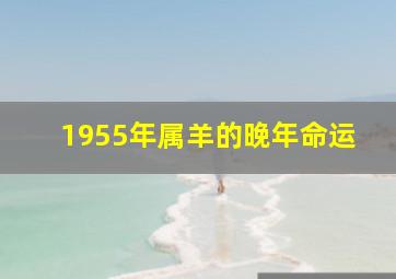 1955年属羊的晚年命运