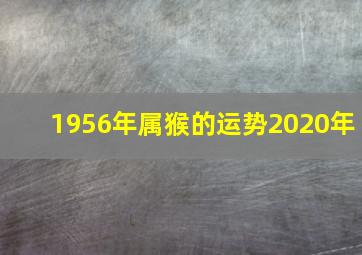 1956年属猴的运势2020年