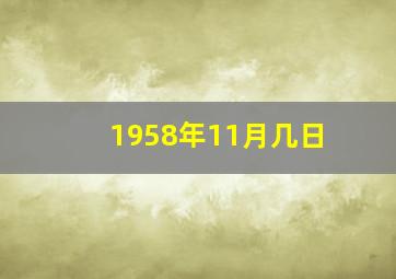 1958年11月几日