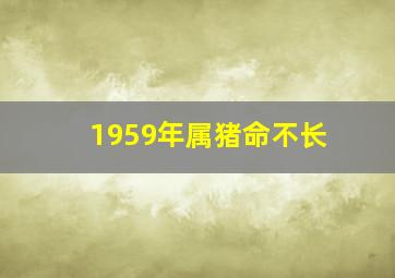 1959年属猪命不长