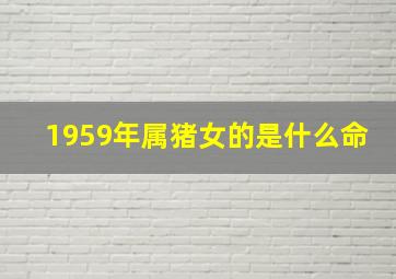 1959年属猪女的是什么命