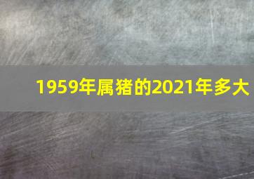 1959年属猪的2021年多大