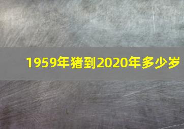 1959年猪到2020年多少岁