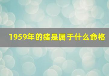 1959年的猪是属于什么命格