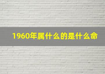 1960年属什么的是什么命