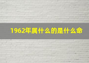 1962年属什么的是什么命