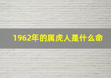 1962年的属虎人是什么命