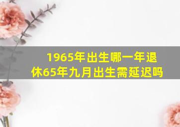 1965年出生哪一年退休65年九月出生需延迟吗