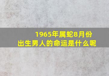 1965年属蛇8月份出生男人的命运是什么呢