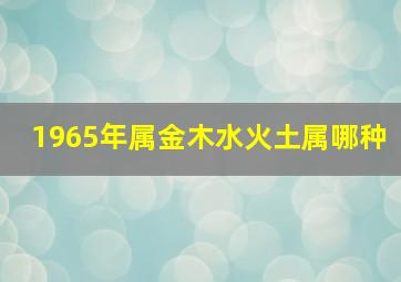 1965年属金木水火土属哪种