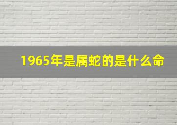 1965年是属蛇的是什么命