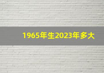 1965年生2023年多大