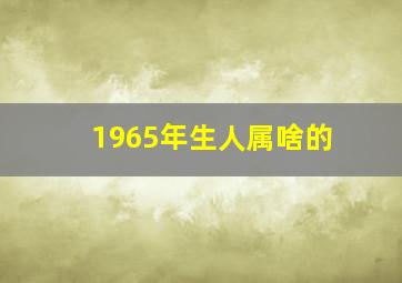 1965年生人属啥的