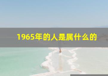 1965年的人是属什么的