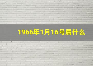 1966年1月16号属什么