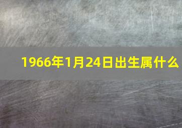 1966年1月24日出生属什么