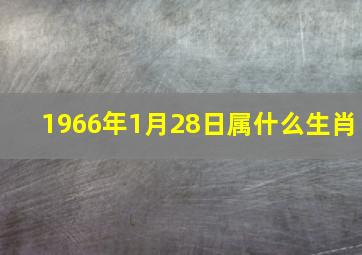 1966年1月28日属什么生肖