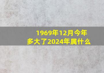 1969年12月今年多大了2024年属什么