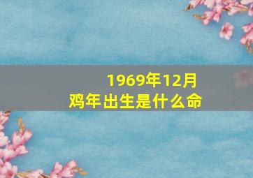 1969年12月鸡年出生是什么命