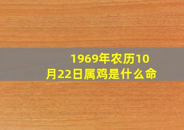 1969年农历10月22日属鸡是什么命