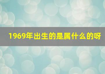 1969年出生的是属什么的呀