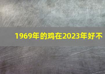 1969年的鸡在2023年好不