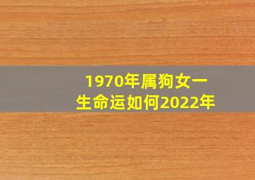 1970年属狗女一生命运如何2022年