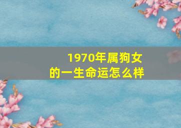 1970年属狗女的一生命运怎么样