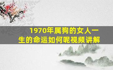 1970年属狗的女人一生的命运如何呢视频讲解