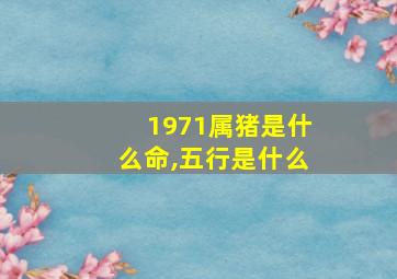 1971属猪是什么命,五行是什么