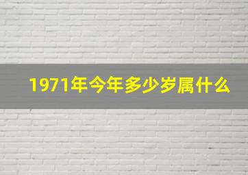 1971年今年多少岁属什么