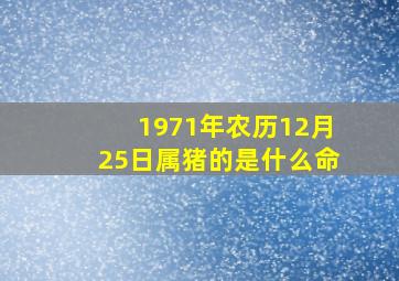 1971年农历12月25日属猪的是什么命